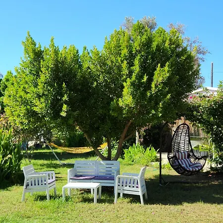 Datcamania Mesudiye (Datca)